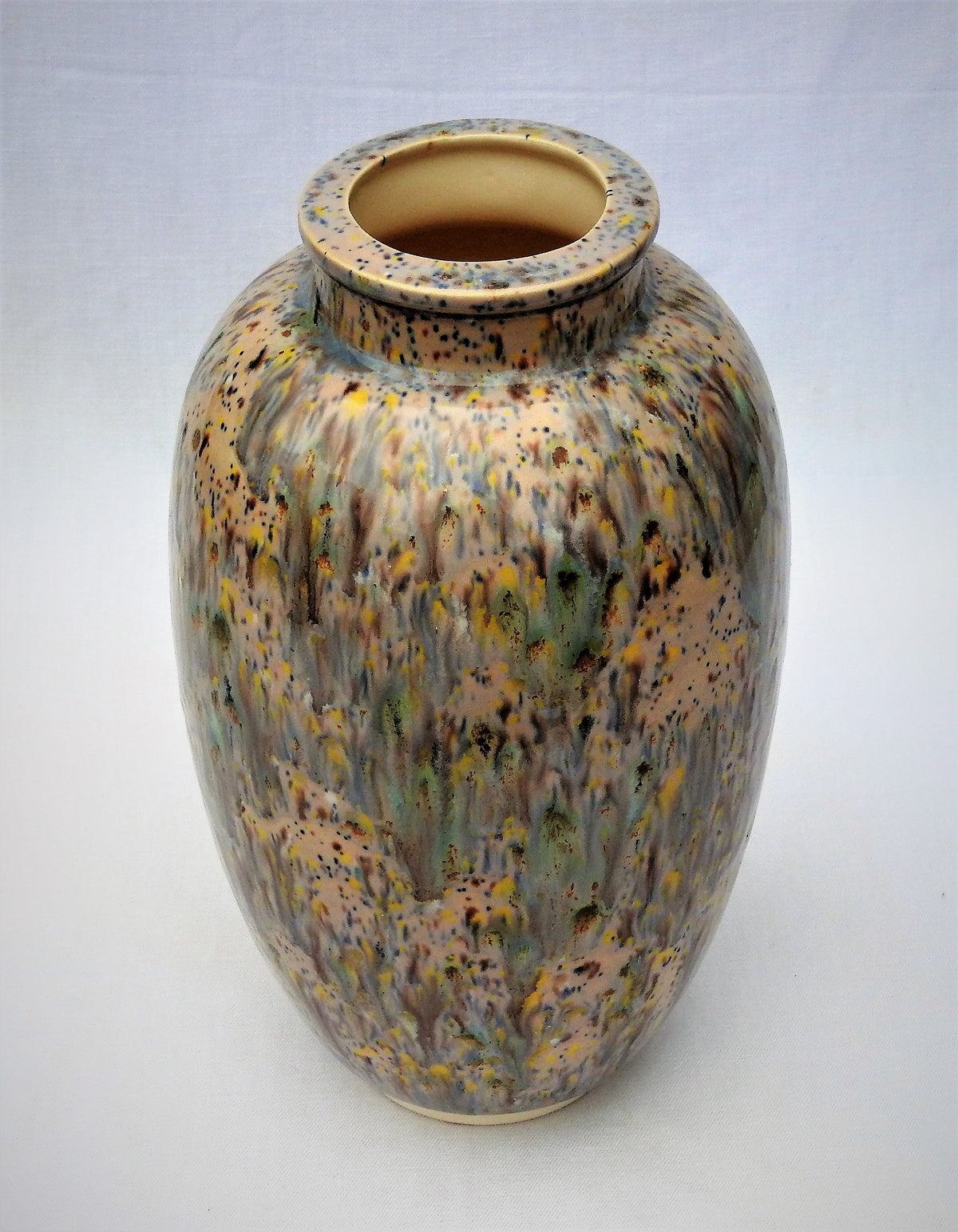 Walker Ceramics School Earthenware or Stoneware Clay - 10kg – Sajo Ceramics